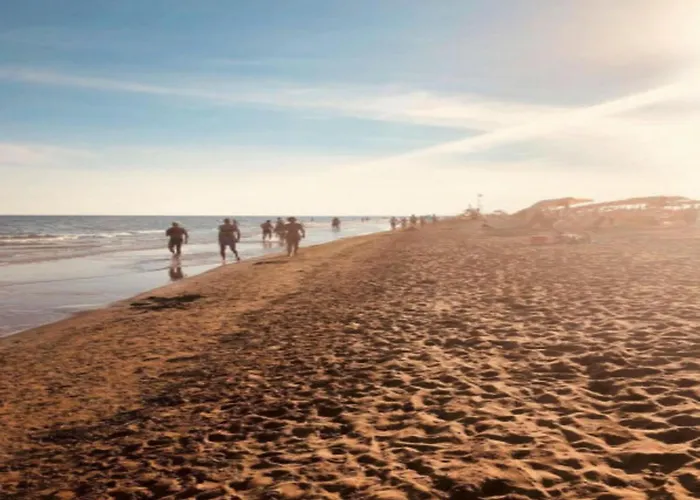 Apartment Beachfront Escape One Bedroom Flat With Ac Bibione