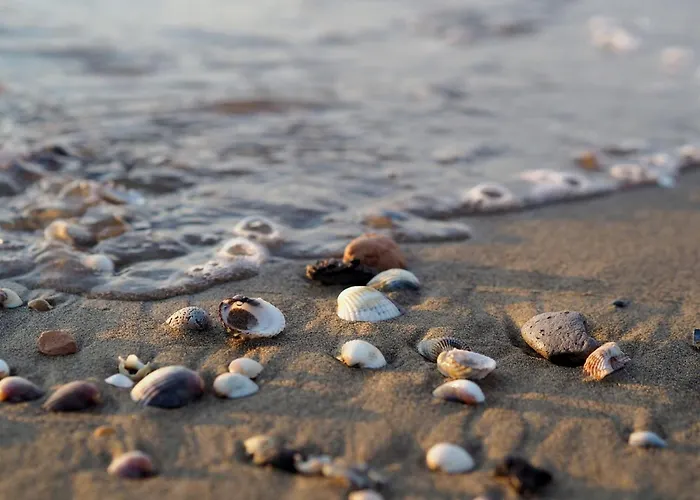 Beachfront Escape One Bedroom Flat With Ac Апартаменти